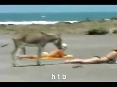 Ensinar as meninas juju salimeni fazendo boquete do sexo anal.