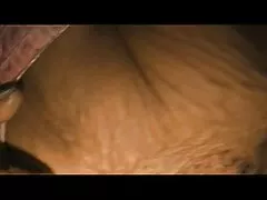 Cabelos curtos morena menina assistir video sexo oral com meias cor de rosa engraçado