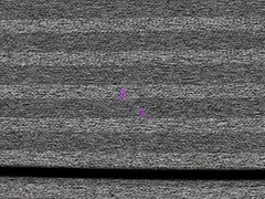 Um bocado de sexo oral entre mulheres video esperma.